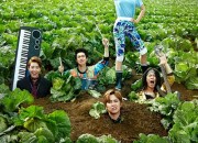 【日本初放送ドラマ紹介】農村に“ロックなヤツら”がやってきた!?” イ・ホンギ(FTISLAND)主演で贈るハイテンション★ラブコメディ『モダンファーマー』